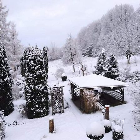 "Agroturystyka Pod Magnolia" Rybnica 33 Exterior photo